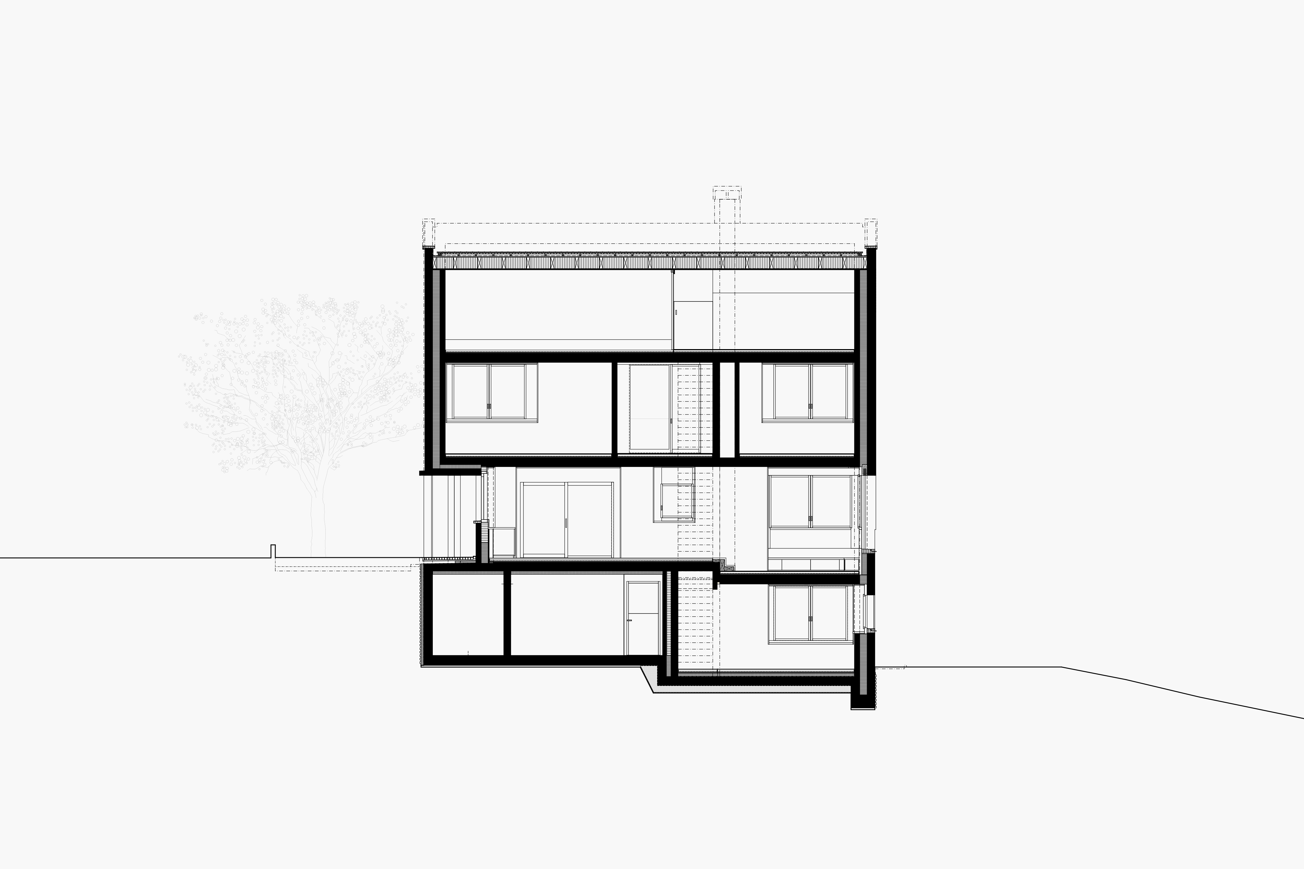 longitudinal section
