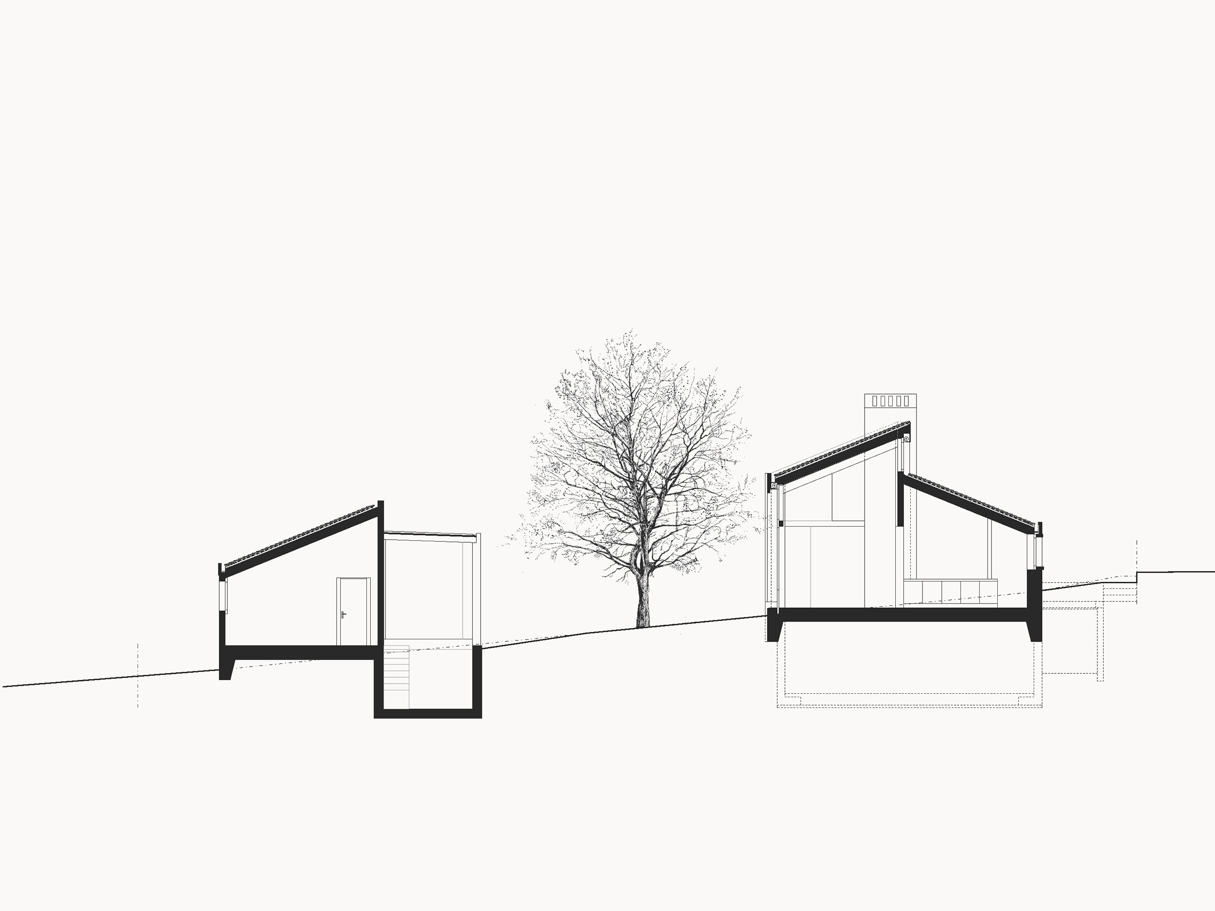 section