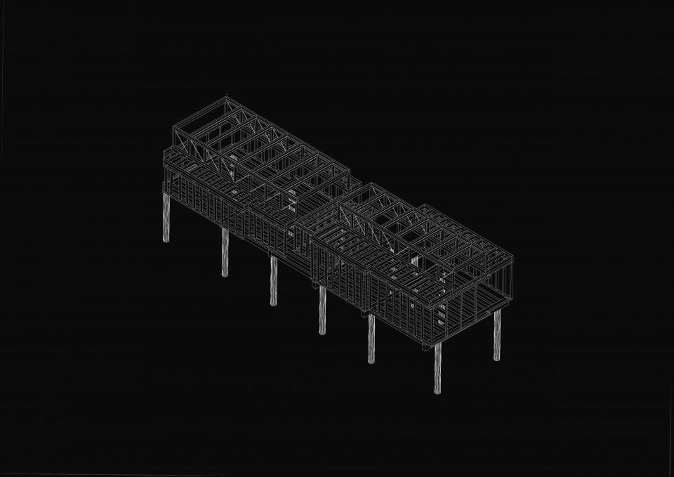 axo-schwarz